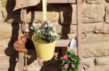 Pension Stadtmühle Allstedt - Foto 9