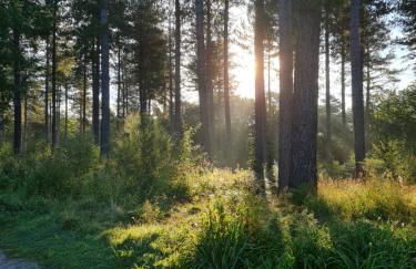 Modernised seven bedroom country house and garden with hot tub - Foto 52