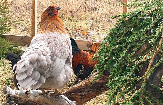 5 Person Holiday Home in Mellosa - Foto 28