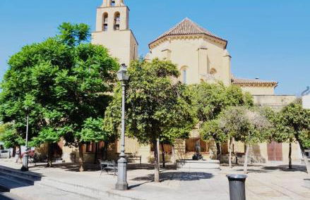 Aromas de San Pedro - Foto 11