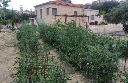 nafsikacottagehouse - Foto 58