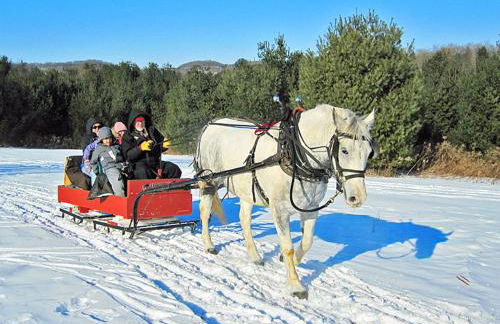 BayerischerWald-Ferien-Blockhaus-Panoramablick-Grafenau Haus im Wald-Vogelthenne 19, fast Alleinlage-ILZtal-Blick nähe Rothauer, Saldenburger, Ebenreuther und Eginger See im Dreiburgenland, unweit der Dreiflüße-Stadt PASSAU an der Donau Inn und ILZ - Foto 48