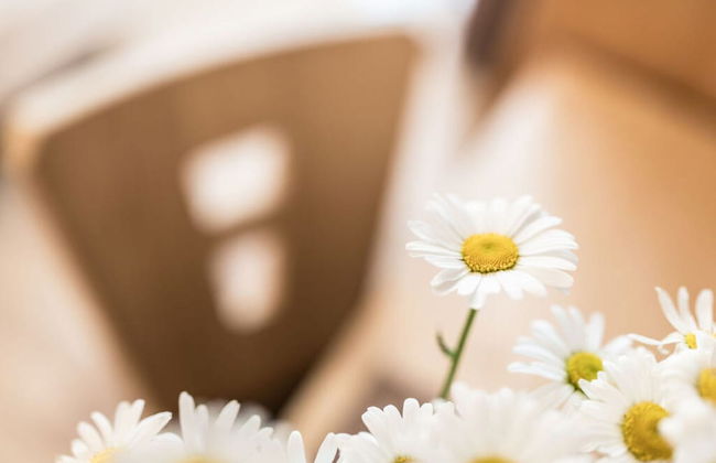 Apartment in St. Jakob im Ahrntal Sudtirol - Foto 3