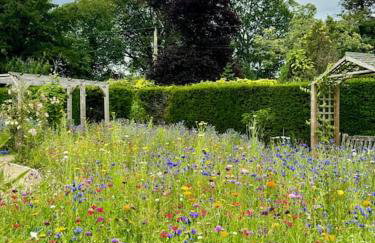 The Hollies, Dorset - Foto 60