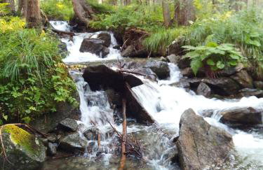 Sul cucuzzolo - Foto 66