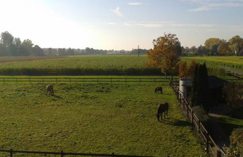 Ferienhof Schattmann - Foto 15