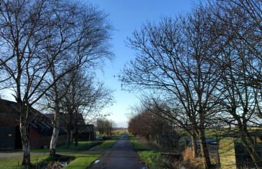 Paradiesje - Foto 24