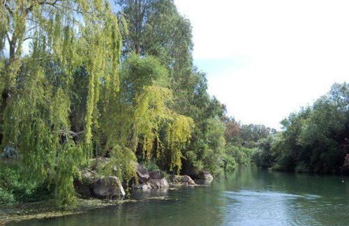 FAMILIAR y UNICA VILLA EN GAUCIN - Foto 23