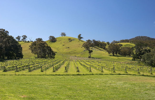 Blue House at Mountainside Wines - Foto 20