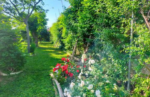 Precioso chalet próximo a Sevilla con jardín y piscina privada 8 personas Wifi gratis 2 salones 4 dormitorios 2 baños - Foto 66