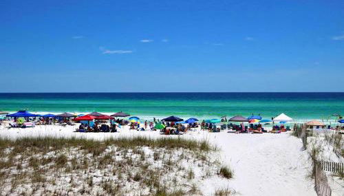 Enclave 201b- Two Pina Coladas - Photo 4