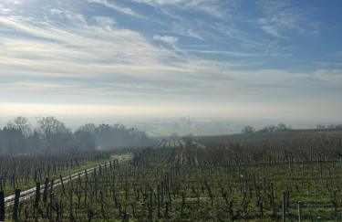 Kuća za odmor Baron - Foto 33