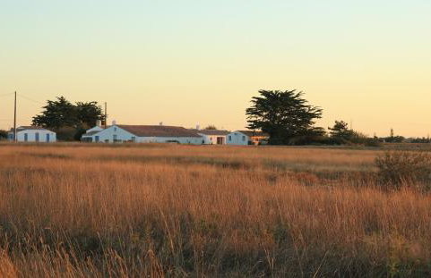 Gites De La Grande Borderie - Photo 62