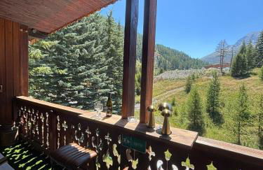 Appart proche des pistes avec terrasse à Vars - Foto 17