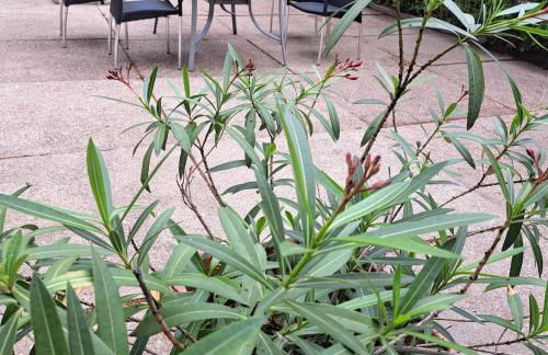 Exclusives Ferienhaus am Kulkwitzer See - Photo 48