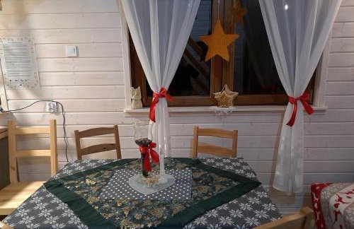 Domki Borowiackie nad brzegiem jeziora - Foto 37