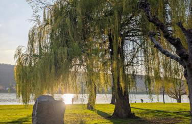 Basislager Rheinsteig - Foto 19