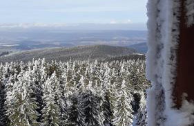 Apartament Hortensjowy Zakątek - Foto 50