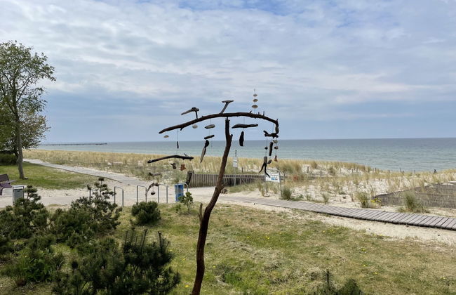 Blaumuschel (LUB118) - Foto 8