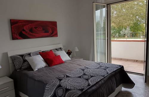 Parco delle Rose - Photo 12