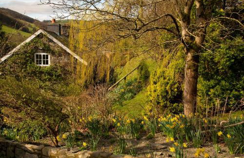 Dolgenau Cottages - Foto 22