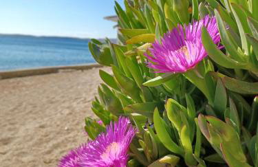 Holiday House Jolini Dvori - Photo 36