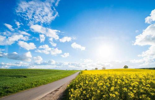 Ferienwohnung Ingrid - Foto 5