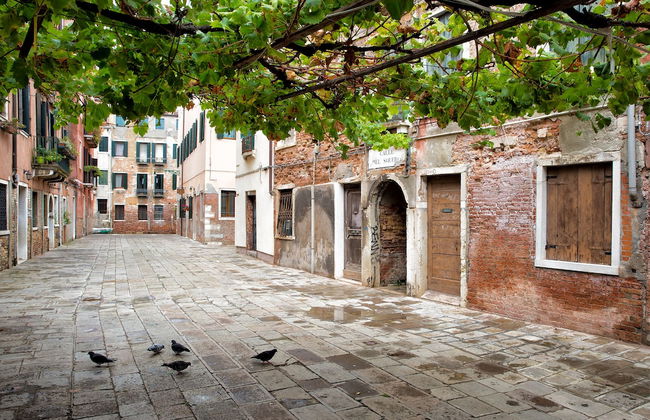 Alla Vite Dorata - Foto 43