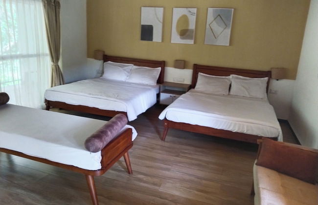 Nature Valley Resort - Foto 14