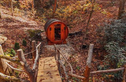 Ma & Pa's cabin at Cabin Fever in NC - Photo 23