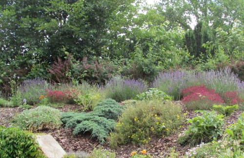 Ferienwohnung "Eifelstueffje" - Foto 38