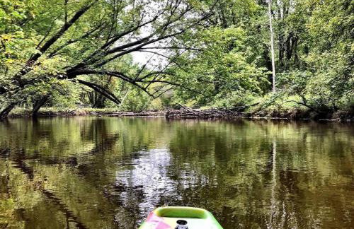 Dream Retreat with Hot Tub, FirePit, Grill and only 15 min to Downtown Chattanooga - Foto 55