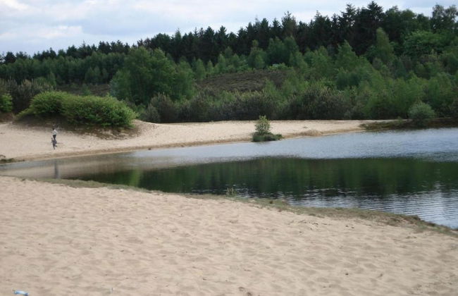 Ferienhaus Boschhuys - Foto 29