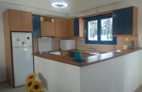 Blue Velvet apartment - Foto 16