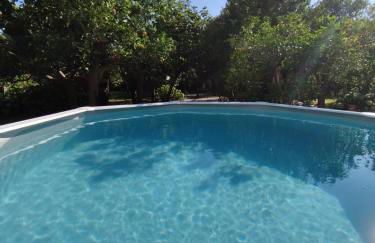 Seasuntour - Meta CC Palace - Foto 8