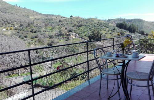 La terra dei ciliegi tra l'Etna e il mare di Taormina - Foto 34