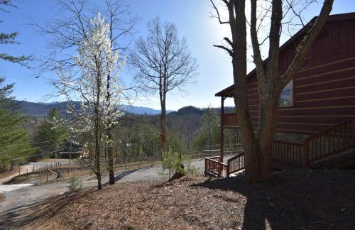 East Tennessee Family Mountain Retreat with Private Vineyard - Photo 66