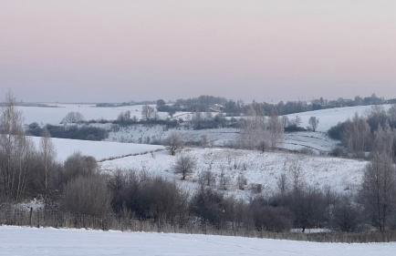 W Kręgu Natury - Foto 72