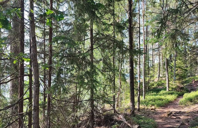 5 Person Holiday Home in Linkoping-by Traum - Foto 8