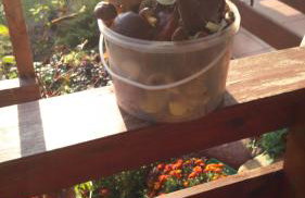 Skowerówka - Foto 19