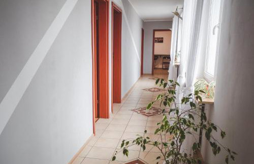 Dżolanda Pokoje - Foto 10