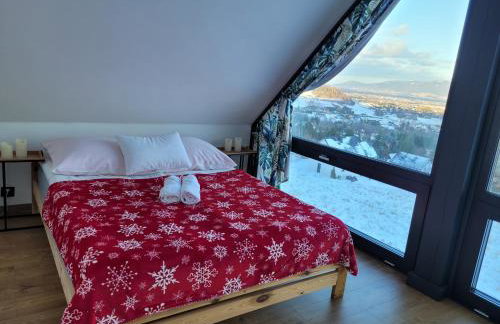 Ostre Natura - Foto 24