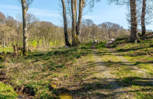 2 Bed in Bala oc-87274 - Foto 38