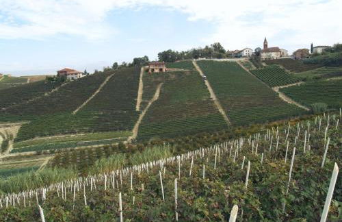 AleKS friendly house - Foto 43