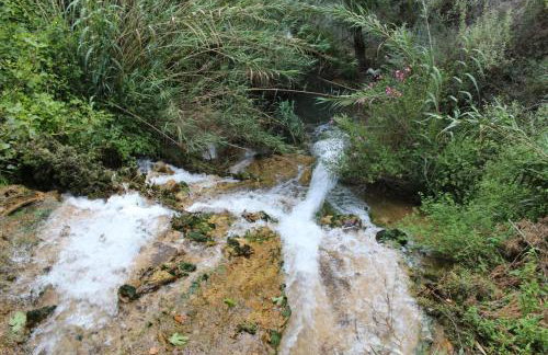 Stamna Farm - Foto 26