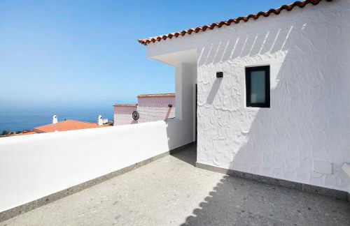 Linaje del Pago Listán Negro - Foto 22