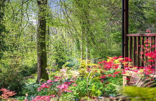 1 Bed in Milton Abbas oc-w32019 - Photo 15