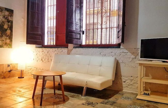 Busto Reform - Foto 7