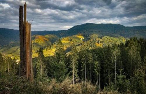 Sagenhafter Ausblick - Foto 18