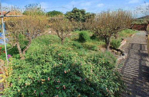 La Lavanda - Foto 33